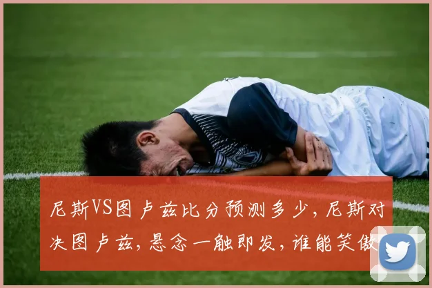 尼斯VS图卢兹比分预测多少,尼斯对决图卢兹,悬念一触即发,谁能笑傲球场