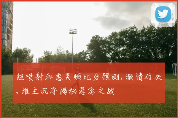 纽喷射和惠灵顿比分预测,激情对决,谁主沉浮揭秘悬念之战