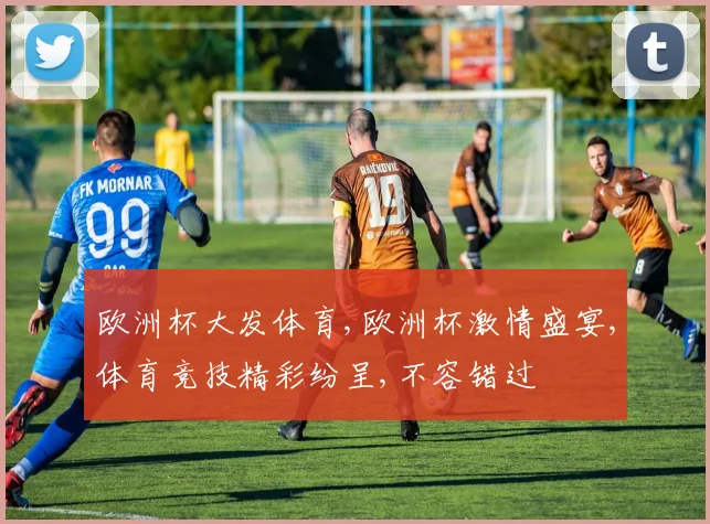 欧洲杯大发体育,欧洲杯激情盛宴,体育竞技精彩纷呈,不容错过