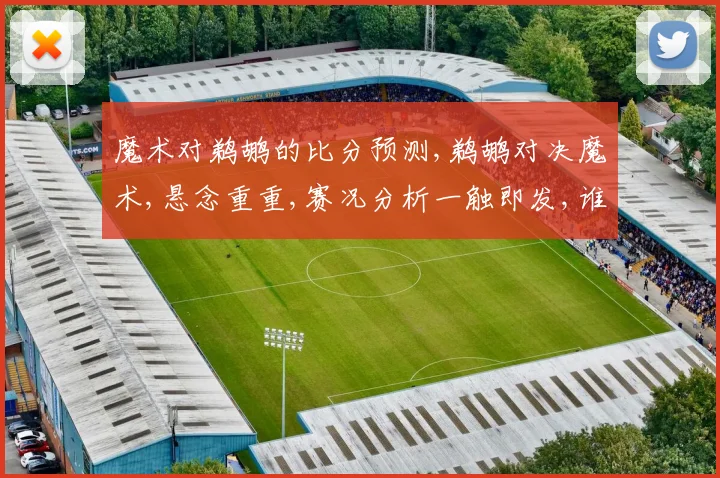 魔术对鹈鹕的比分预测,鹈鹕对决魔术,悬念重重,赛况分析一触即发,谁将笑到最后